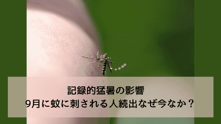 アイキャッチ　記録的猛暑の影響　9月に蚊に刺される人続出　なぜ今なのか？